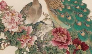 关于孔雀的诗句或散文有哪些 关于孔雀的诗句